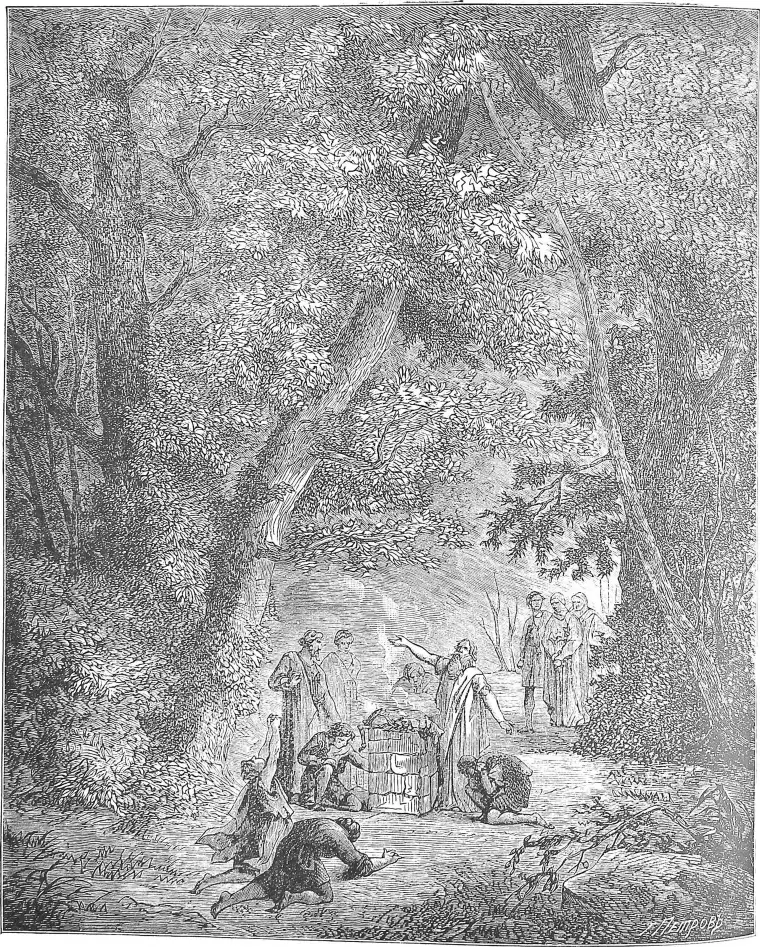 Thorns, Thistles, and Thorny Shrubs